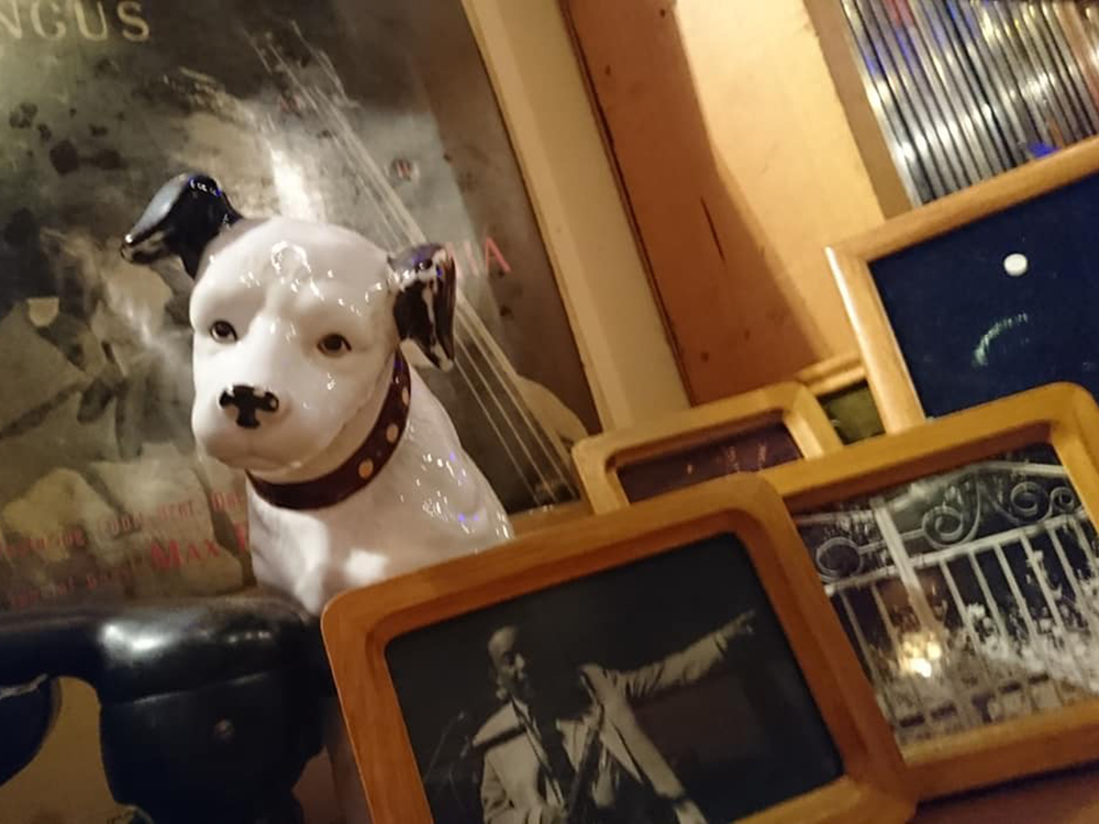 八重山音楽YouTubeライブ配信